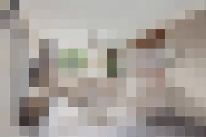 Elzengaard 28 Boxtel thumbnail 8