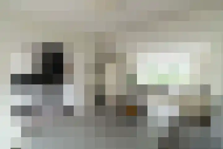 Elzengaard 38 Boxtel thumbnail 10
