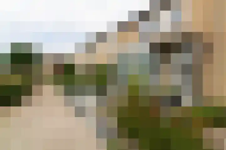 Elzengaard 38 Boxtel foto 3