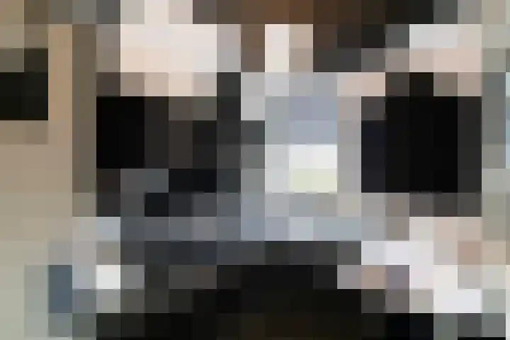 Elzengaard 38 Boxtel thumbnail 30