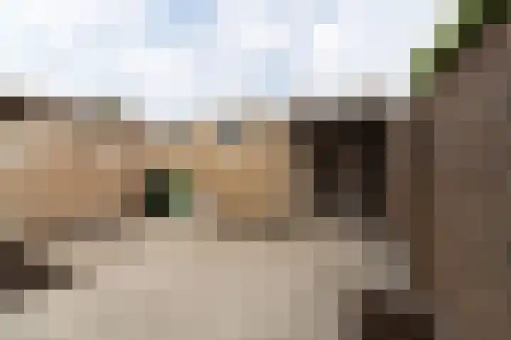 Elzengaard 38 Boxtel thumbnail 38