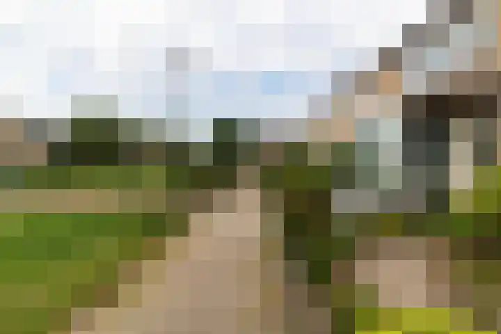 Elzengaard 38 Boxtel thumbnail 4