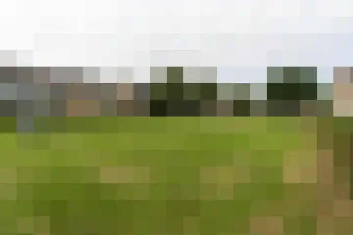 Elzengaard 38 Boxtel thumbnail 5