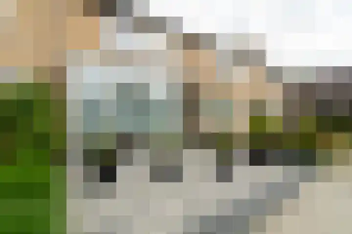 Elzengaard 38 Boxtel thumbnail 6