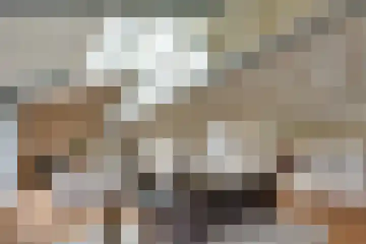 Elzenlaan 14 Smilde thumbnail 11