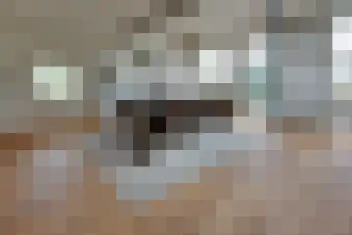 Elzenlaan 14 Smilde thumbnail 12