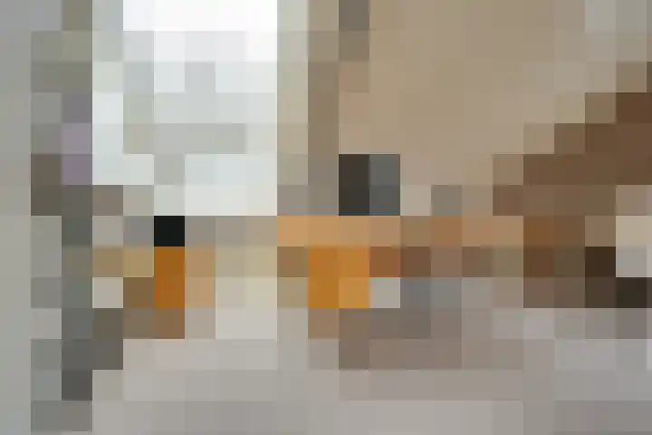 Elzenlaan 14 Smilde thumbnail 27