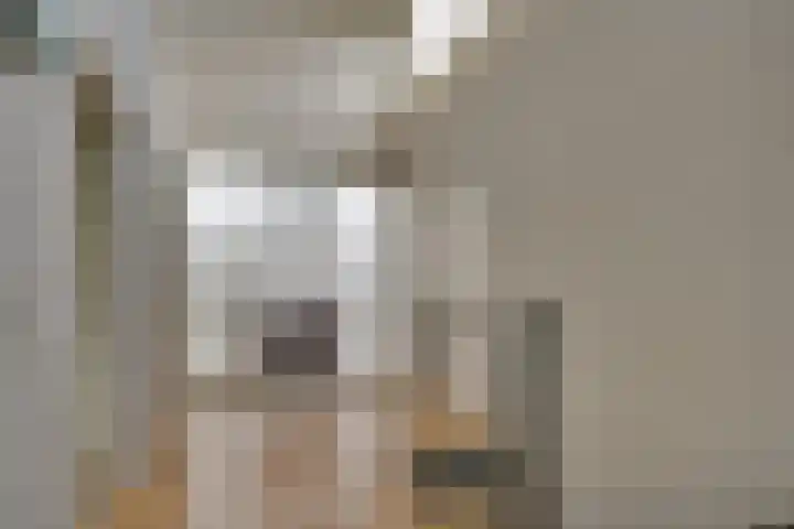 Elzenlaan 14 Smilde thumbnail 32
