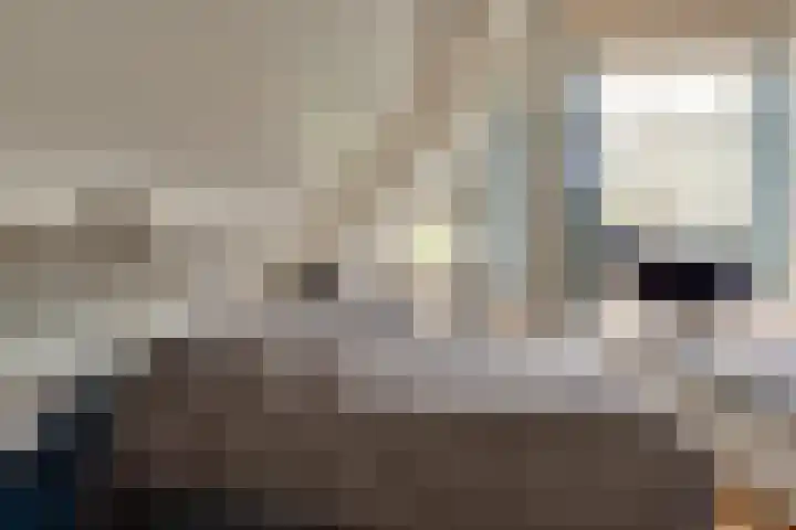 Elzenlaan 14 Smilde thumbnail 34