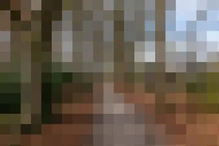 Elzenlaan 14 Smilde thumbnail 4