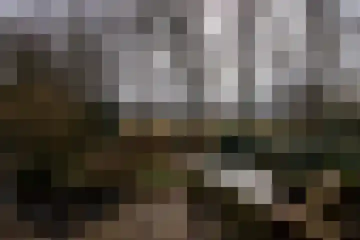 Elzenlaan 14 Smilde thumbnail 46