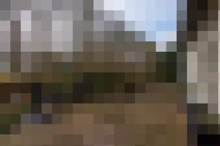 Elzenlaan 14 Smilde thumbnail 47