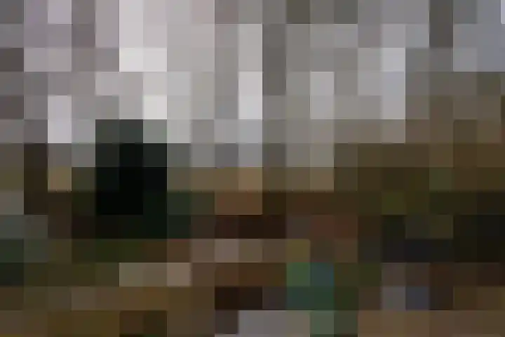 Elzenlaan 14 Smilde thumbnail 48