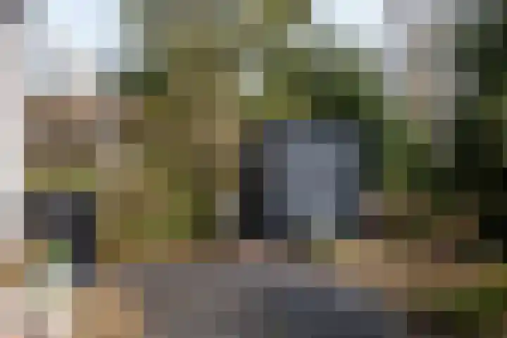 Elzenlaan 14 Smilde thumbnail 49