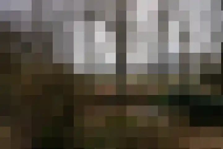 Elzenlaan 14 Smilde thumbnail 50