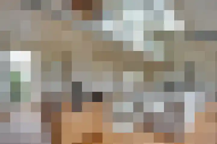 Elzenlaan 14 Smilde thumbnail 6