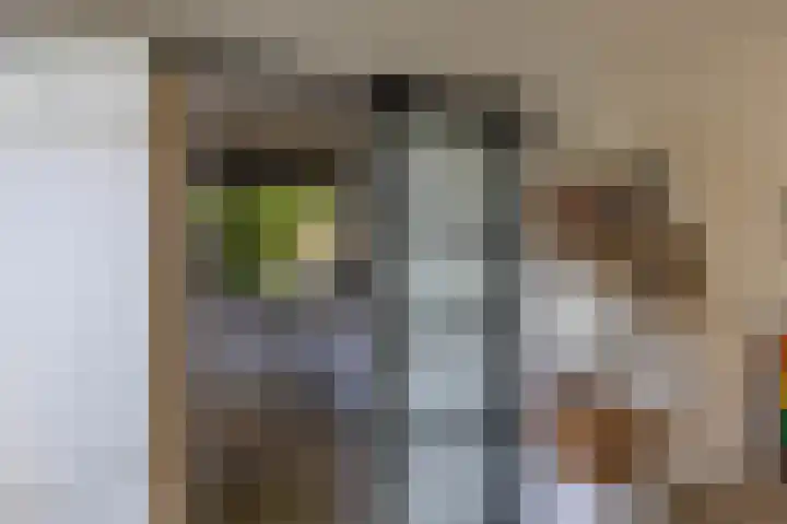 Elzenlaan 15 Peize thumbnail 10