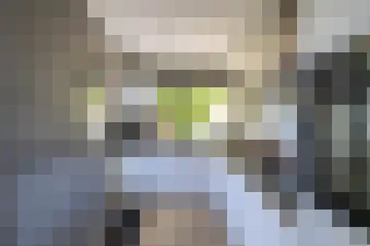 Elzenlaan 15 Peize thumbnail 11