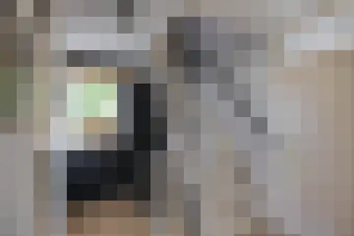 Elzenlaan 15 Peize thumbnail 17