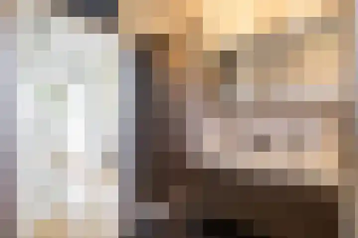 Elzenlaan 15 Peize thumbnail 26