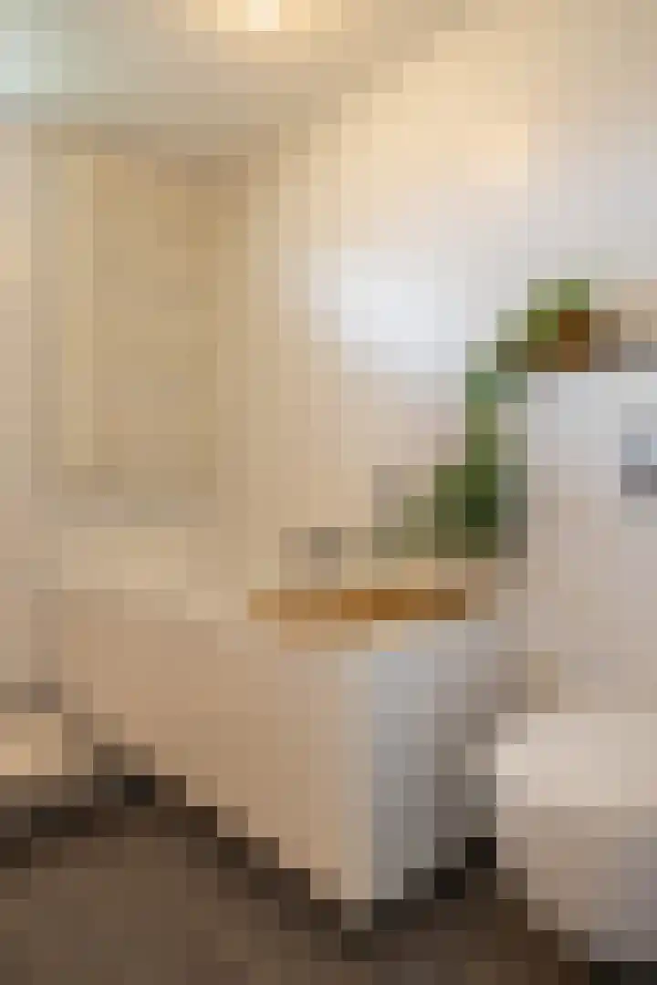 Elzenlaan 15 Peize thumbnail 27