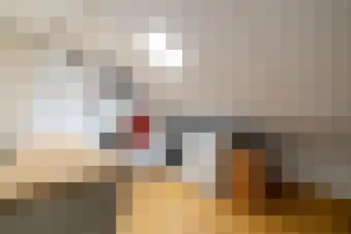 Elzenlaan 15 Peize thumbnail 28