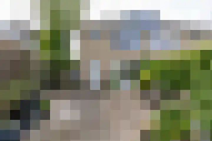 Elzenlaan 15 Peize thumbnail 33