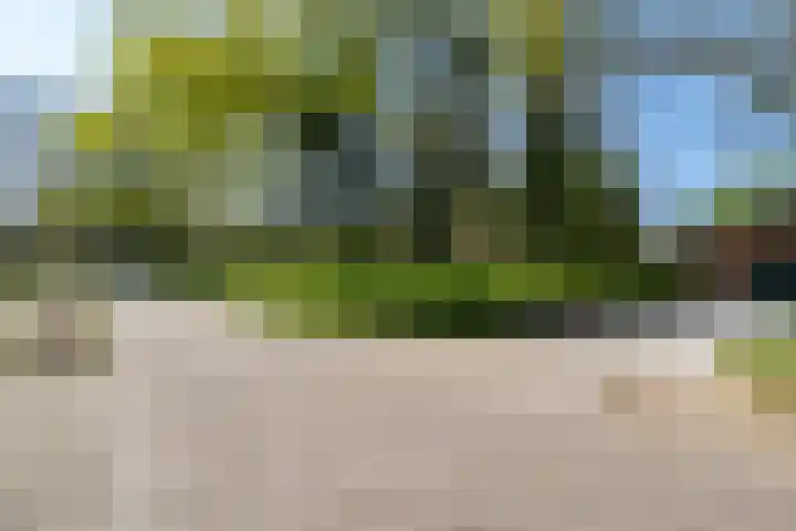 Elzenlaan 15 Peize thumbnail 35