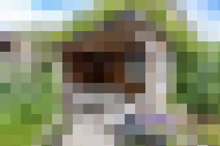 Elzenlaan 15 Peize thumbnail 36