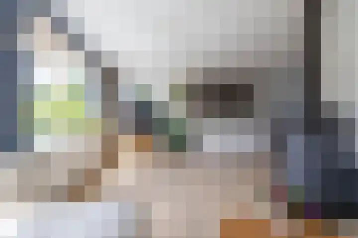 Elzenlaan 15 Peize thumbnail 6