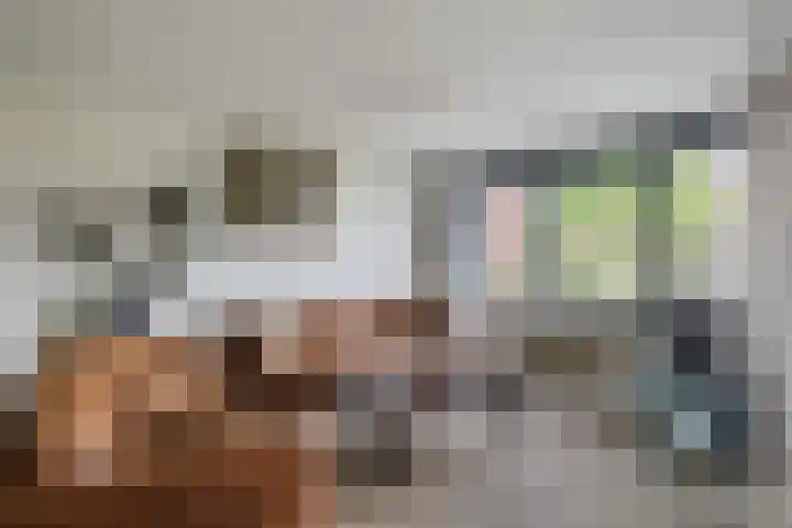 Elzenmos 4 Zwolle thumbnail 13