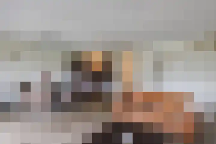 Elzenmos 4 Zwolle thumbnail 16