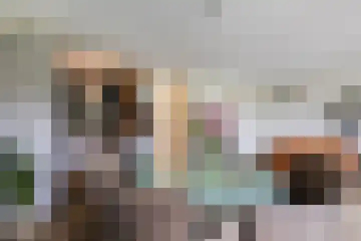 Elzenmos 4 Zwolle thumbnail 17