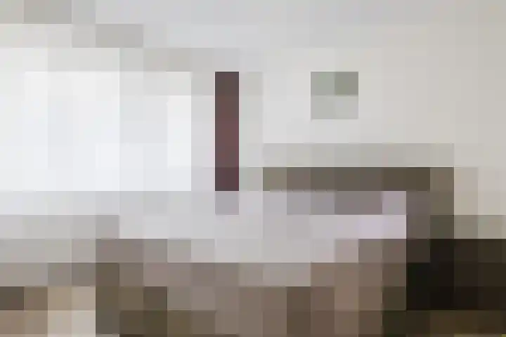 Elzenmos 4 Zwolle thumbnail 21