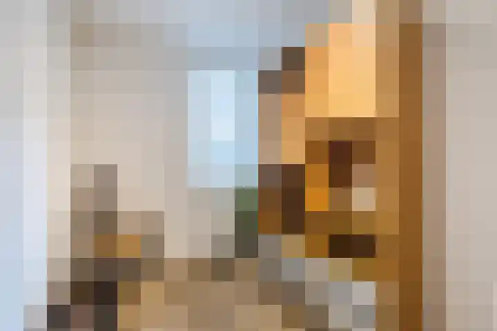 Elzenmos 4 Zwolle thumbnail 25