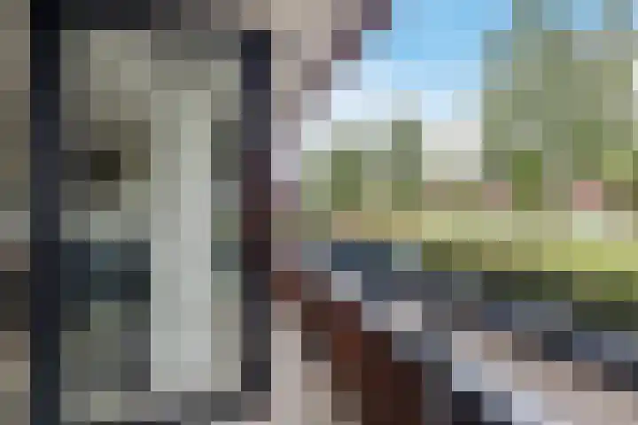 Elzenmos 4 Zwolle thumbnail 29