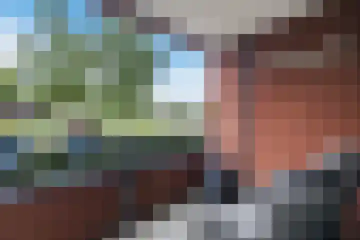 Elzenmos 4 Zwolle thumbnail 30