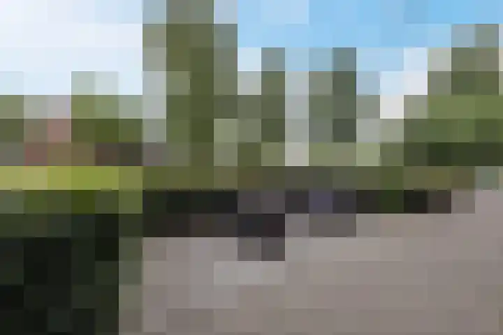Elzenmos 4 Zwolle thumbnail 31