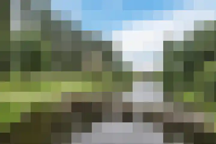 Elzenmos 4 Zwolle thumbnail 33