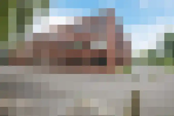 Elzenmos 4 Zwolle thumbnail 4
