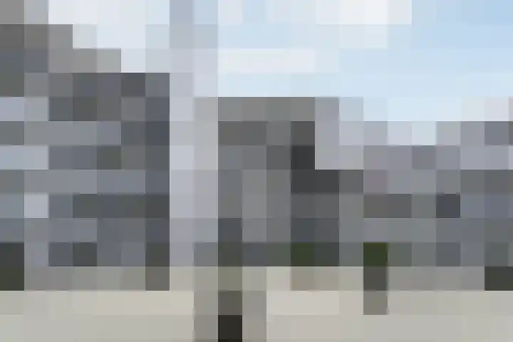 Elzenmos 4 Zwolle thumbnail 8