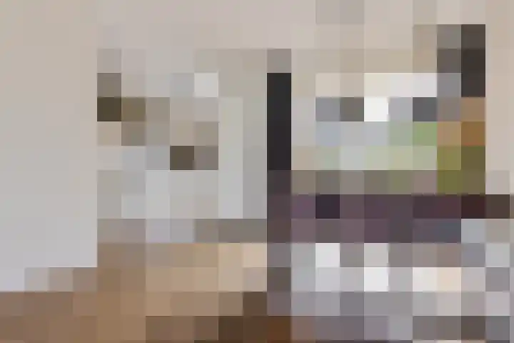 Elzenpad 7 Kessel thumbnail 11