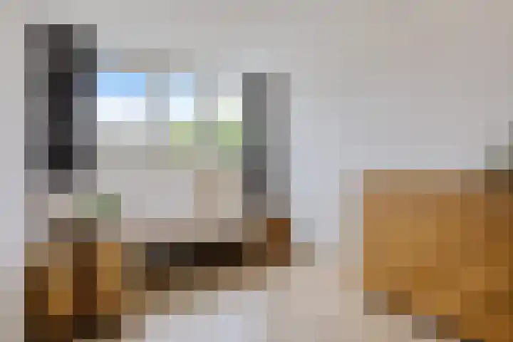 Elzenpad 7 Kessel thumbnail 21