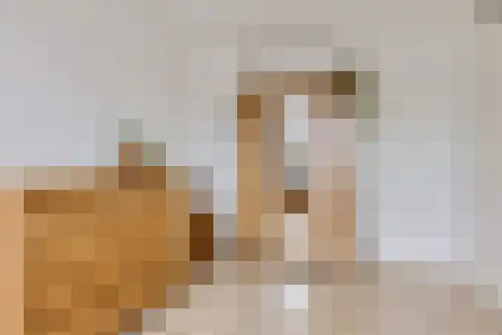 Elzenpad 7 Kessel thumbnail 24