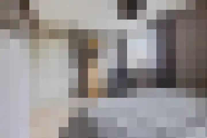 Elzenpad 7 Kessel thumbnail 28