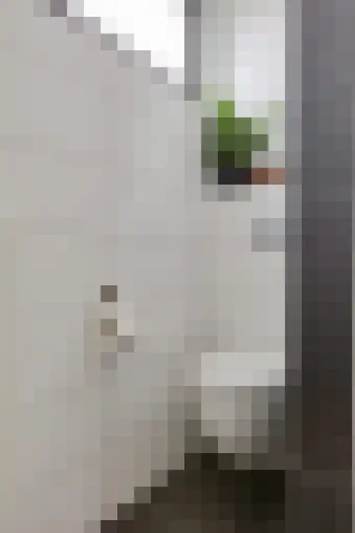 Elzenpad 7 Kessel thumbnail 32