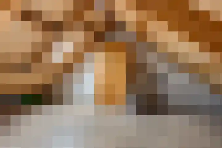 Elzenpad 7 Kessel thumbnail 35