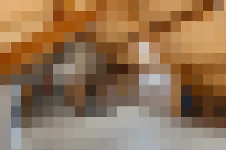 Elzenpad 7 Kessel thumbnail 36