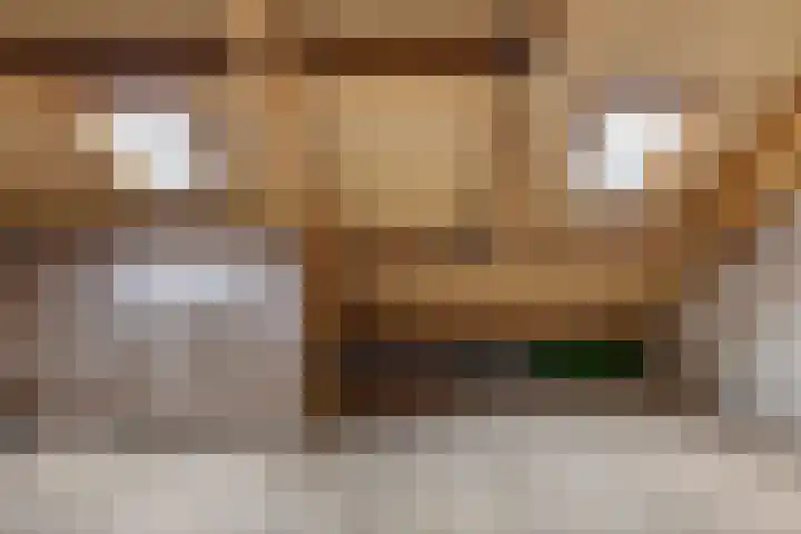 Elzenpad 7 Kessel thumbnail 38