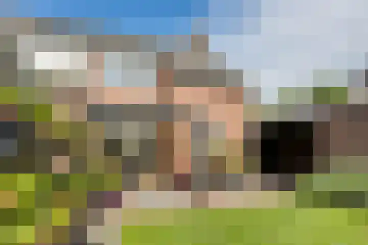 Elzenpad 7 Kessel thumbnail 41